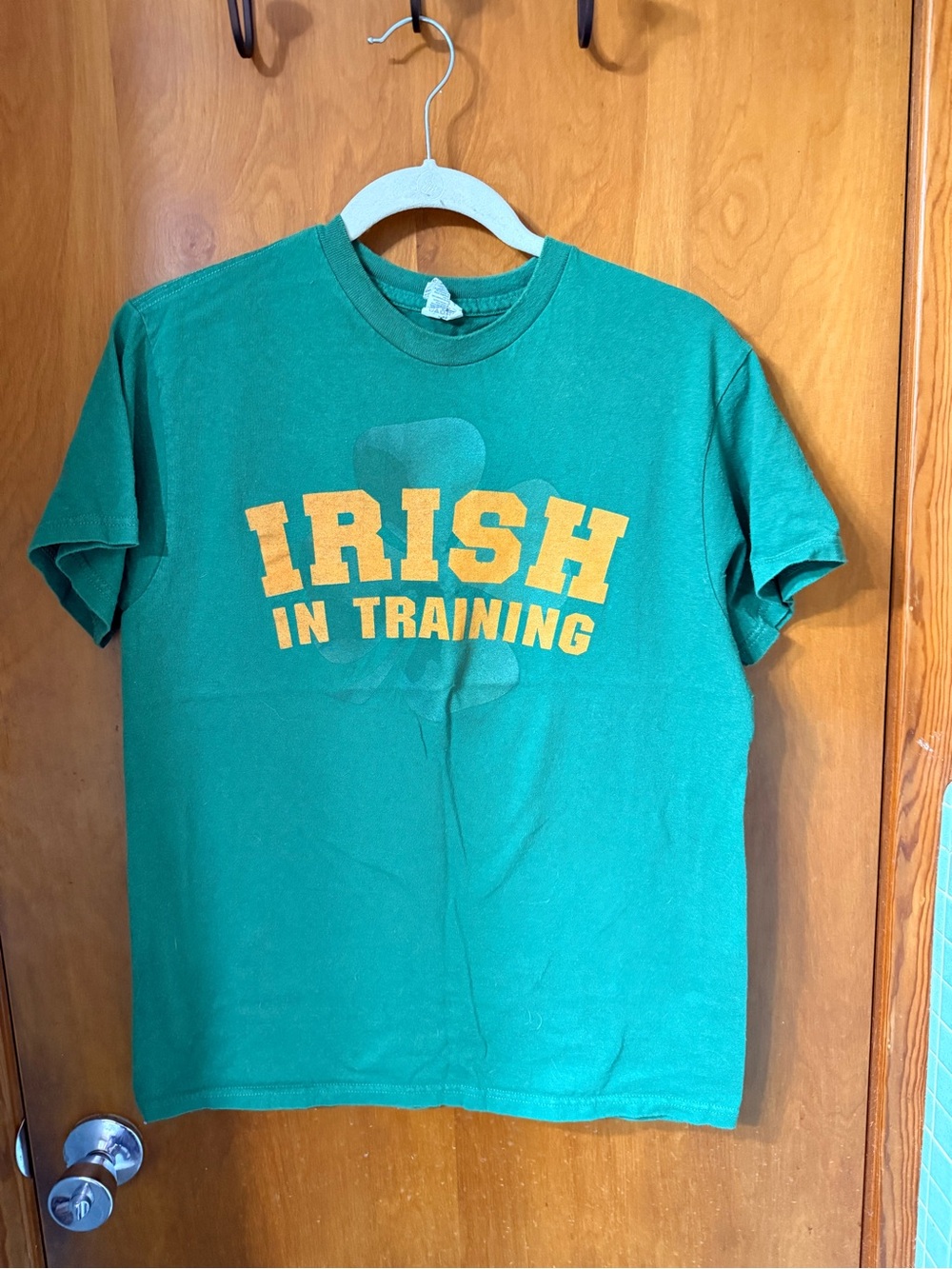 Irish In Training Tee